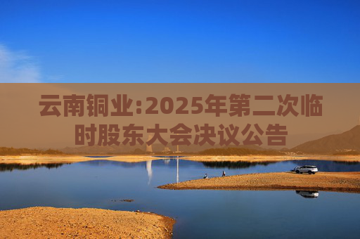 云南铜业:2025年第二次临时股东大会决议公告