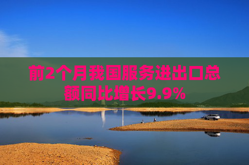 前2个月我国服务进出口总额同比增长9.9%