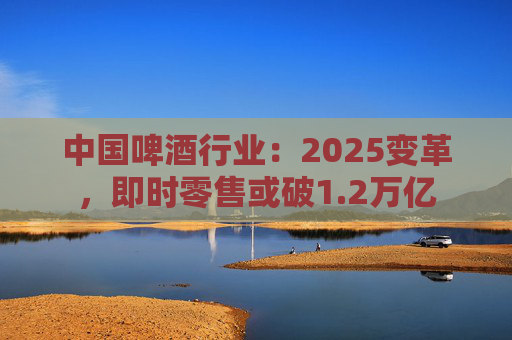 中国啤酒行业：2025变革，即时零售或破1.2万亿