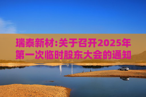 瑞泰新材:关于召开2025年第一次临时股东大会的通知