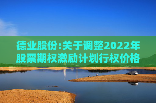 德业股份:关于调整2022年股票期权激励计划行权价格及数量的公告