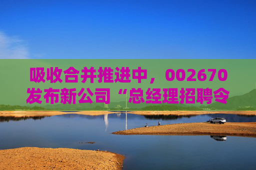 吸收合并推进中，002670发布新公司“总经理招聘令”  第1张
