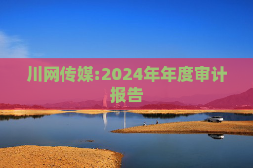 川网传媒:2024年年度审计报告