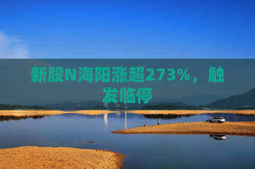 新股N海阳涨超273%,触发临停