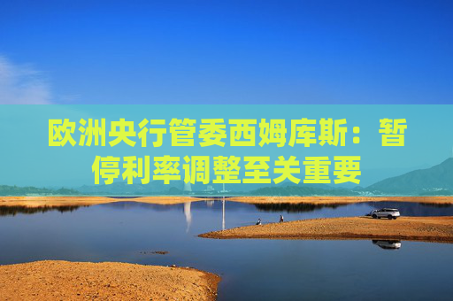 欧洲央行管委西姆库斯:暂停利率调整至关重要