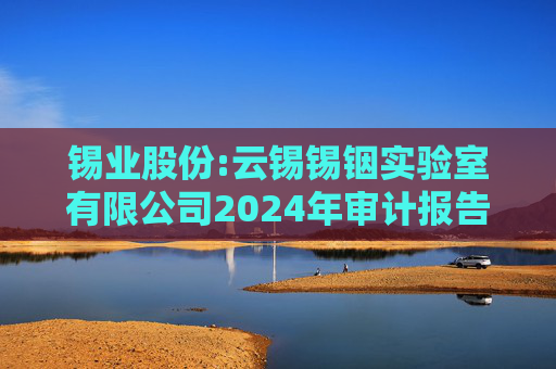 锡业股份:云锡锡铟实验室有限公司2024年审计报告