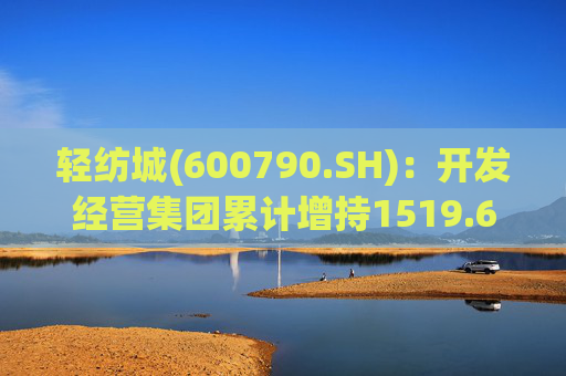 轻纺城(600790.SH):开发经营集团累计增持1519.63万股股份