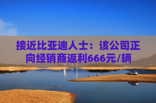 接近比亚迪人士：该公司正向经销商返利666元/辆  第1张