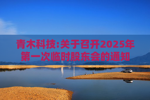 青木科技:关于召开2025年第一次临时股东会的通知