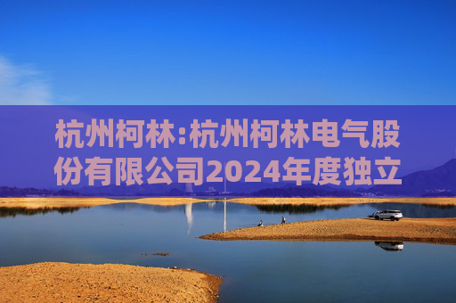 杭州柯林:杭州柯林电气股份有限公司2024年度独立董事述职报告（毛卫民）