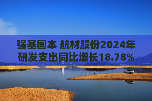 强基固本 航材股份2024年研发支出同比增长18.78%  第1张