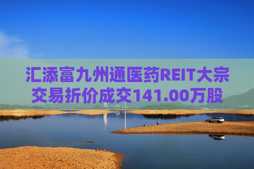 汇添富九州通医药REIT大宗交易折价成交141.00万股  第1张