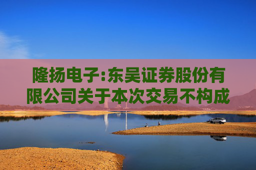 隆扬电子:东吴证券股份有限公司关于本次交易不构成上市公司重大资产重组管理办法第十三条规定的重组上市情形的核查意见
