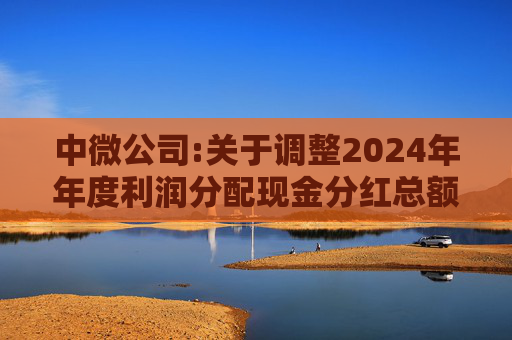 中微公司:关于调整2024年年度利润分配现金分红总额的公告  第1张