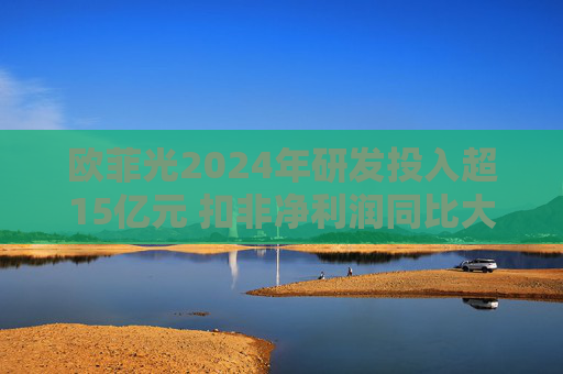 欧菲光2024年研发投入超15亿元 扣非净利润同比大幅减亏 第1张 欧菲光2024年研发投入超15亿元 扣非净利润同比大幅减亏 第1张
