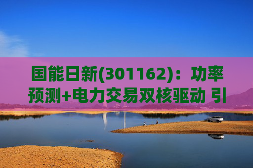 国能日新(301162)：功率预测+电力交易双核驱动 引领业绩持续高增长