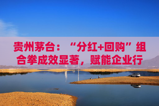 贵州茅台:“分红+回购”组合拳成效显著,赋能企业行稳致远 第1张 贵州茅台:“分红+回购”组合拳成效显著,赋能企业行稳致远 第1张