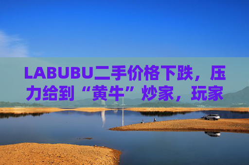 LABUBU二手价格下跌,压力给到“黄牛”炒家,玩家:持续断货只会消耗热情 第1张 LABUBU二手价格下跌,压力给到“黄牛”炒家,玩家:持续断货只会消耗热情 第1张