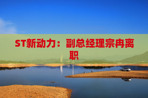 ST新动力：副总经理宗冉离职