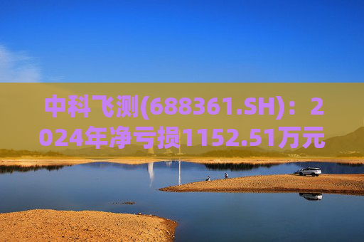 中科飞测(688361.SH)：2024年净亏损1152.51万元  第1张