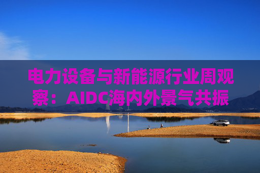 电力设备与新能源行业周观察：AIDC海内外景气共振 储能需求向好发展