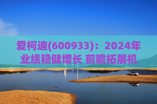 爱柯迪(600933)：2024年业绩稳健增长 前瞻拓展机器人相关业务