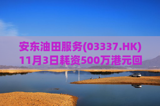 安东油田服务(03337.HK)11月3日耗资500万港元回购472万股  第1张