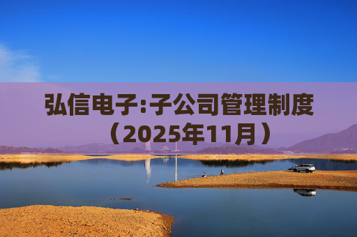 弘信电子:子公司管理制度（2025年11月）  第1张