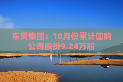 东贝集团：10月份累计回购公司股份9.24万股  第1张