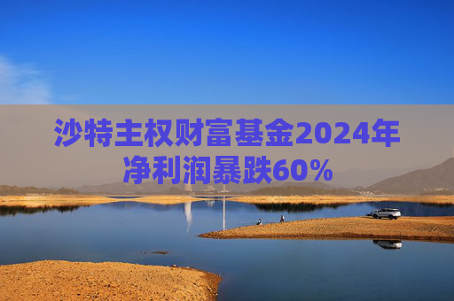 沙特主权财富基金2024年净利润暴跌60%