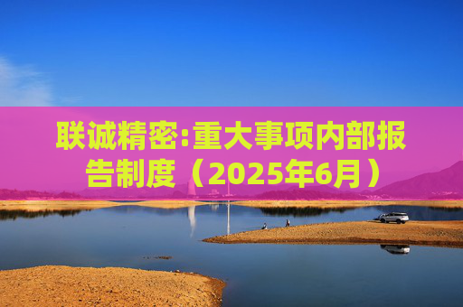 联诚精密:重大事项内部报告制度（2025年6月）