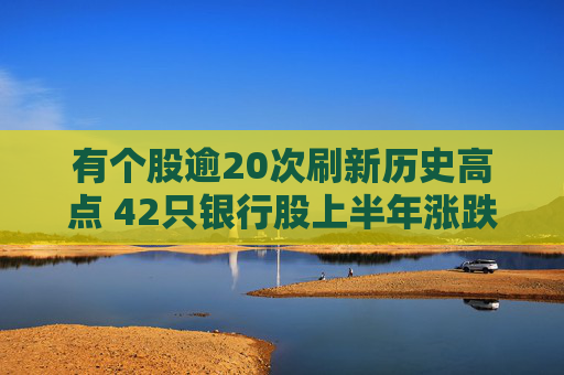 有个股逾20次刷新历史高点 42只银行股上半年涨跌榜出炉  第1张