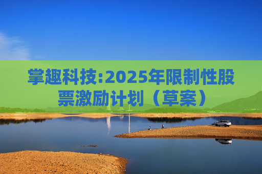 掌趣科技:2025年限制性股票激励计划（草案）