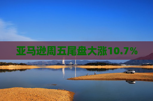 亚马逊周五尾盘大涨10.7%