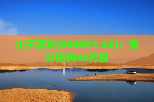 山子高科(000981.SZ)：累计回购46万股  第1张