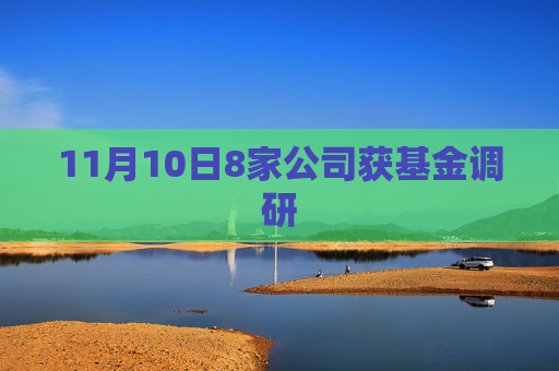 11月10日8家公司获基金调研