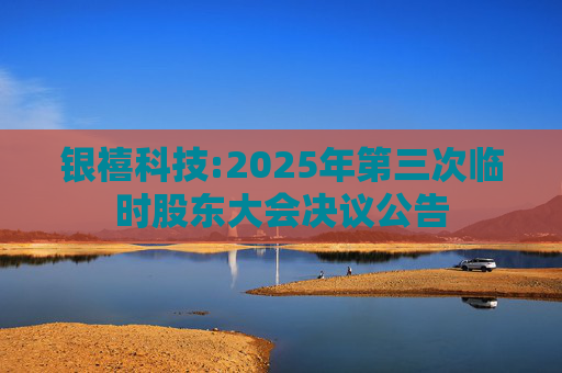 银禧科技:2025年第三次临时股东大会决议公告