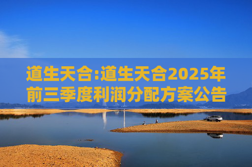 道生天合:道生天合2025年前三季度利润分配方案公告