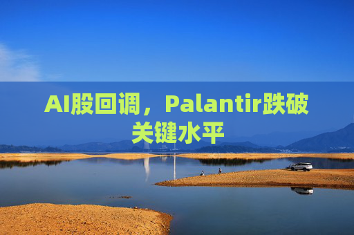 AI股回调，Palantir跌破关键水平