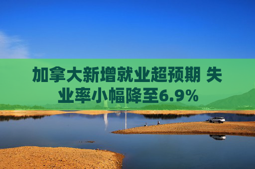 加拿大新增就业超预期 失业率小幅降至6.9%  第1张