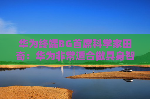华为终端BG首席科学家田奇:华为非常适合做具身智能