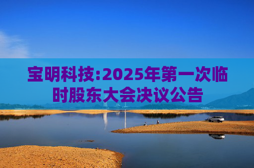 宝明科技:2025年第一次临时股东大会决议公告  第1张