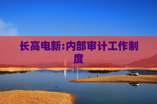 长高电新:内部审计工作制度