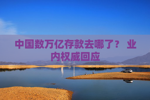 中国数万亿存款去哪了？ 业内权威回应  第1张