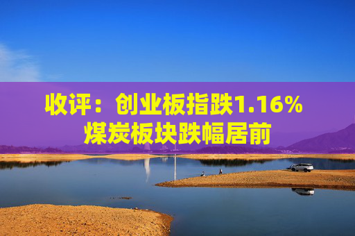 收评：创业板指跌1.16% 煤炭板块跌幅居前  第1张