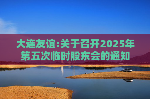 大连友谊:关于召开2025年第五次临时股东会的通知