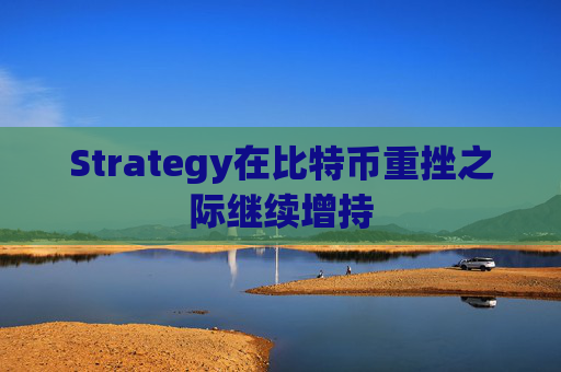Strategy在比特币重挫之际继续增持  第1张
