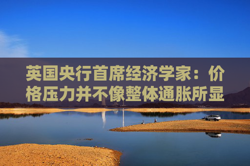 英国央行首席经济学家：价格压力并不像整体通胀所显示的那样强