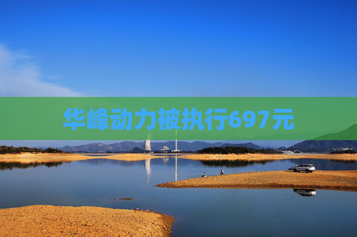 华峰动力被执行697元  第1张