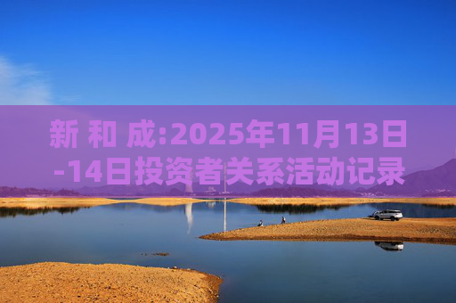 新 和 成:2025年11月13日-14日投资者关系活动记录表